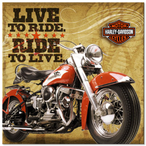 88526-harley-davidson-lunch-napkins