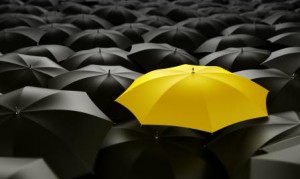 yellow umbrella